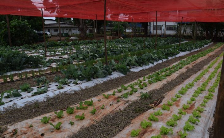 Tecnologia no campo avança além das máquinas e aproxima jovens da ciência em assentamento de MS