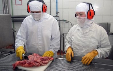 Exportações brasileiras crescem 11,8% de janeiro até primeira semana de julho