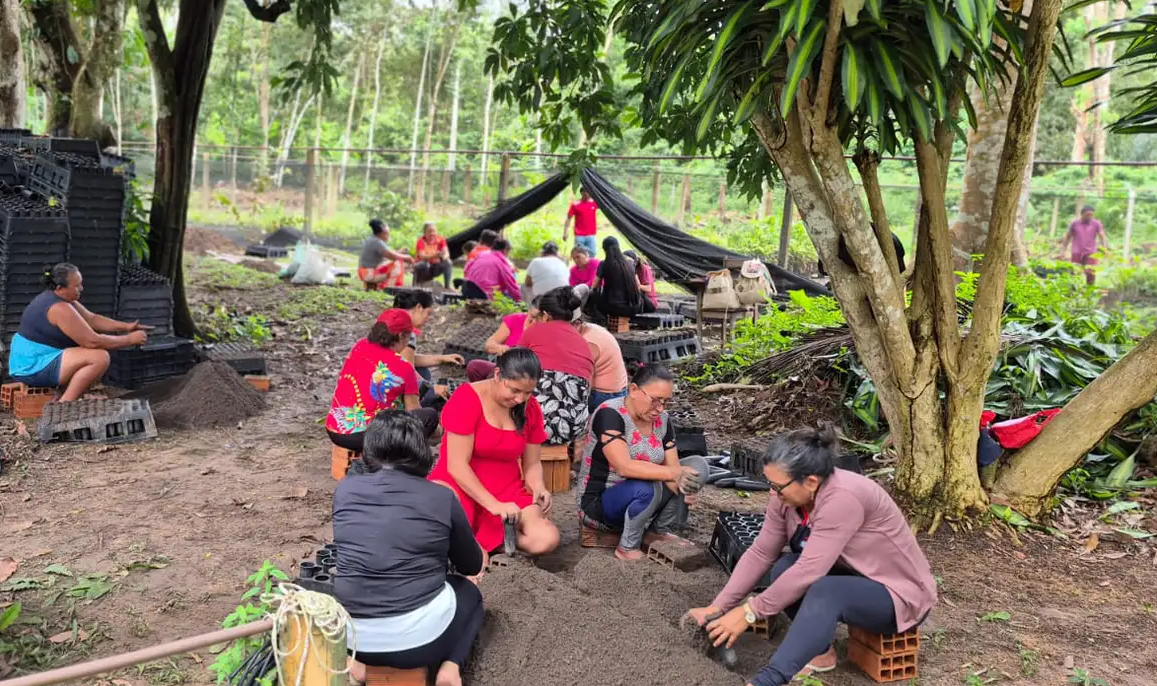 Mulheres da Amazônia se unem para enfrentar as mudanças climáticas