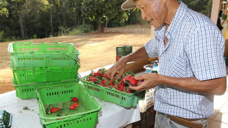 Finep vai pagar R$ 220 milhões para inovações em agricultura familiar 