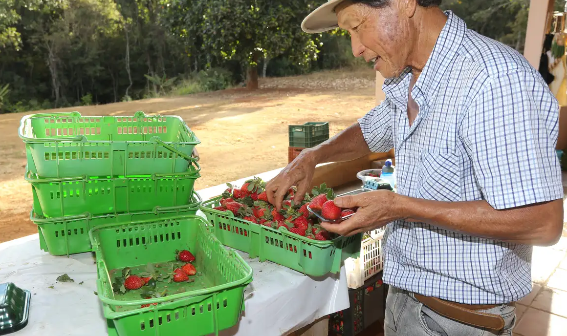 Finep vai pagar R$ 220 milhões para inovações em agricultura familiar 