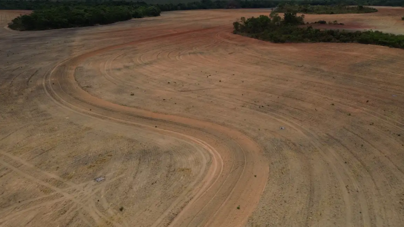 Fim da Moratória da Soja pode ampliar destruição da Amazônia