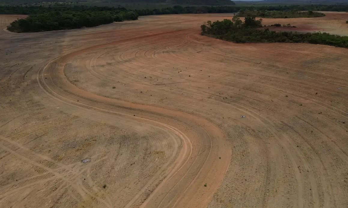 Fim da Moratória da Soja pode ampliar destruição da Amazônia