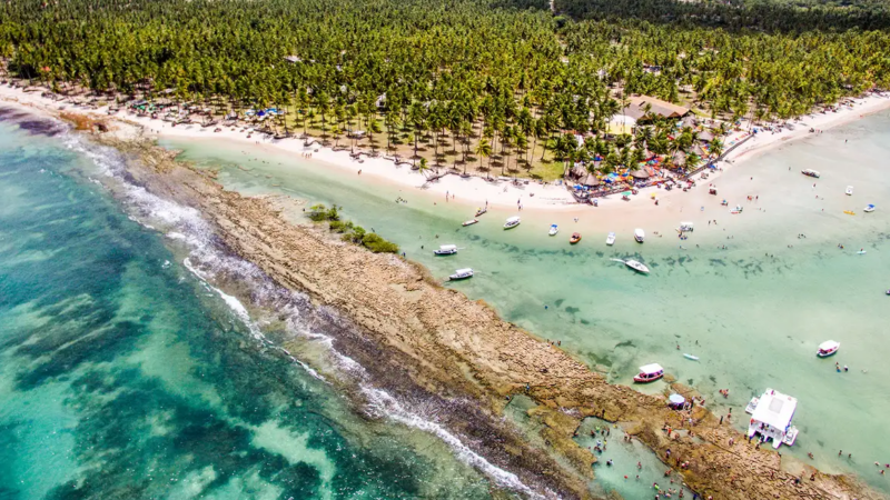 Barulho de barco e de turistas afeta comunicação de peixes, diz estudo