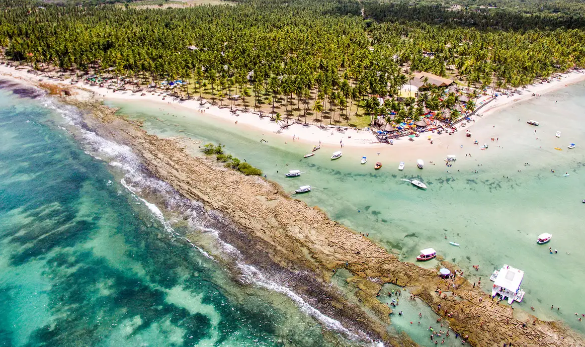 Barulho de barco e de turistas afeta comunicação de peixes, diz estudo