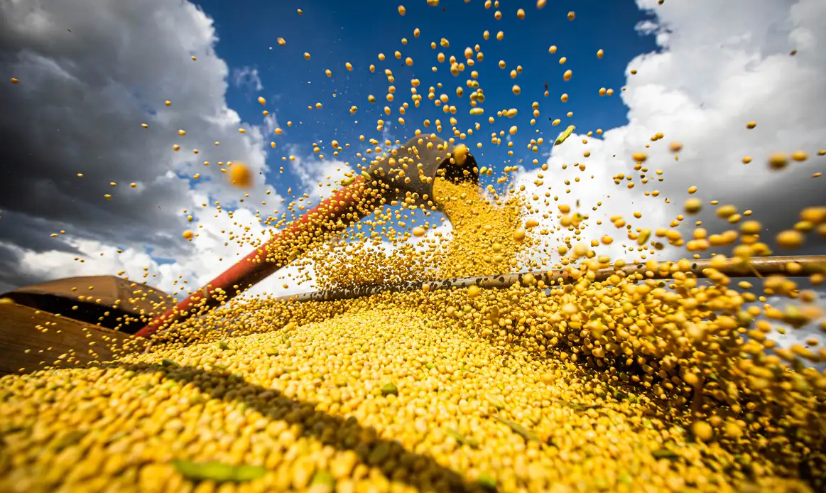 Produção agrícola brasileira superou R$ 927 bilhões em 2025