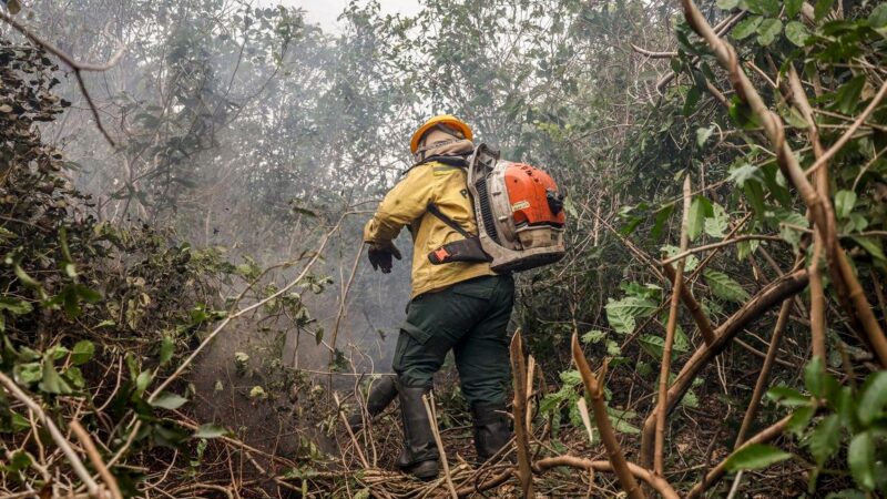 Incêndios no Amazonas resultam de ação humana, diz ministro